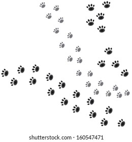 paws prints. abstract background. vector illustration