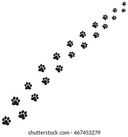 paws prints dog vector