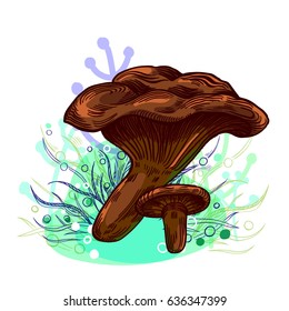 Paxil mushroom with grass on background in engraved style. Vector illustration.