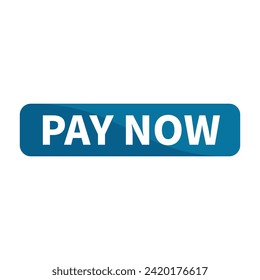 Pay Now Button Text In Blue Rectangle Shape For Sale Promotion Business Marketing Social Media Information Announcement
