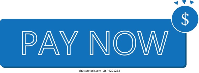 pay now button vector image