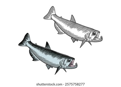 payara fish illustration in engraving style