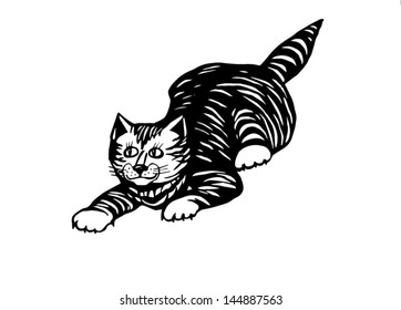 paying cat