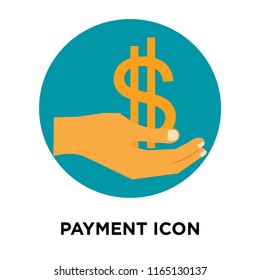 Payment icon vector isolated on white background, Payment transparent sign , insurance symbols