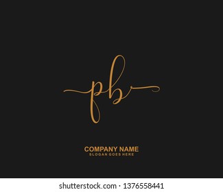 PB Initial handwriting logo vector