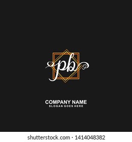 PB Initial handwriting logo vector
