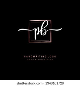 PB initial signature logo. handwriting logo template vector,