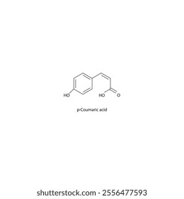 p-Coumaric acid skeletal structure diagram.hydroxycinnamic acid compound molecule scientific illustration.
