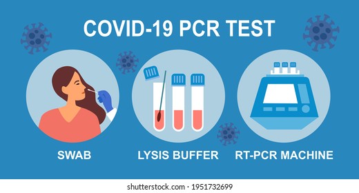 PCR Covid19 Coronavirus Test Steps Infographic Vector Illustration. Nasal Swab Test.