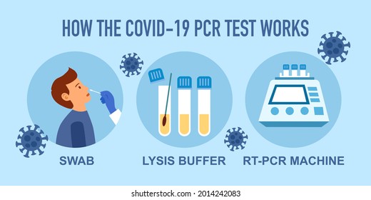 PCR covid19 coronavirus test steps infographic vector illustration. Nasal swab test.