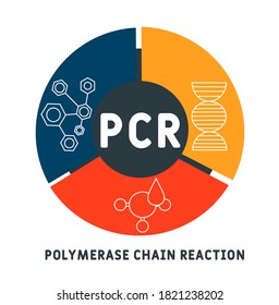 PCR -  Polymerase Chain Reaction acronym, medical concept background. vector illustration concept with keywords and icons. lettering illustration with icons for web banner, flyer, landing page