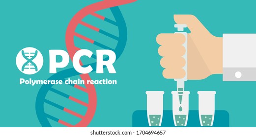 PCR (Polymerase Chain Reaction) Test Banner Illustration / Novel Coronavirus