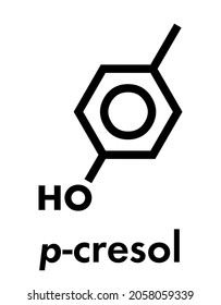 P-cresol (para-cresol, 4-methylphenol) molecule. Component of human sweat. Skeletal formula.