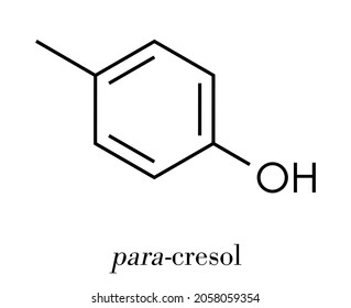 P-cresol (para-cresol, 4-methylphenol) molecule. Component of human sweat. Skeletal formula.