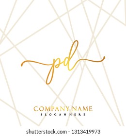 PD Initial Handwriting logo template vector