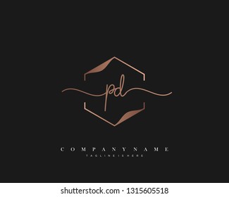 PD initial handwriting logo template vector