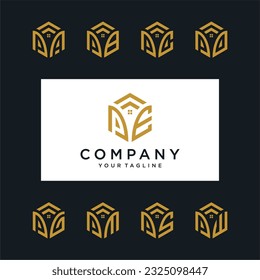 PE Hexagon logo vector. Hexagon logo design with two initials,  Real estate and construction.