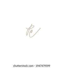 pe initial handwriting logo for identity