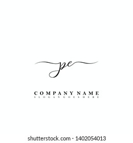 PE Initial luxury handwriting logo vector