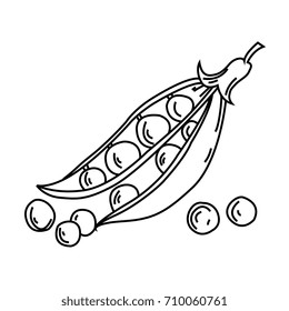Pea