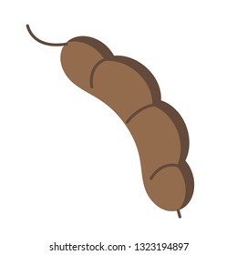 pea branch flat simple illustration. Kitchen cooking - vegetables and fruits series.
