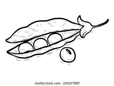 pea / cartoon vector and illustration, black and white, hand drawn, sketch style, isolated on white background.