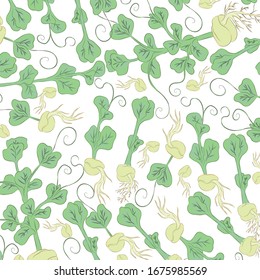 
Pea microgreen. Texture. Color image. Design element. Vector illustration.