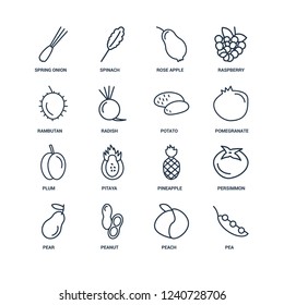 Pea, Peach, Peanut, Pear, Persimmon, Spring onion, Rambutan, Plum, Potato outline vector icons from 16 set