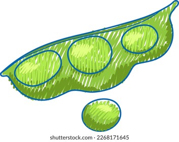 Pea in pencil colour sketch simple style illustration
