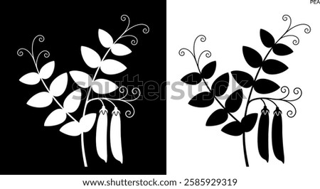 Pea plant. Isolated pea on white background