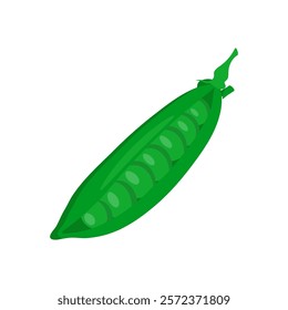 Pea Pod Flat Icon, Vector illustration