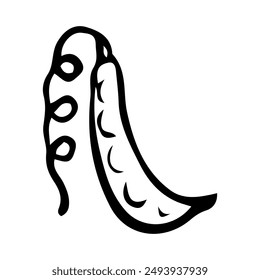 Pea pod hand drawn in doodle style. Ripe legume vegetable. Vegetarian protein food. Natural economy. Farm product. Vector line art illustration.