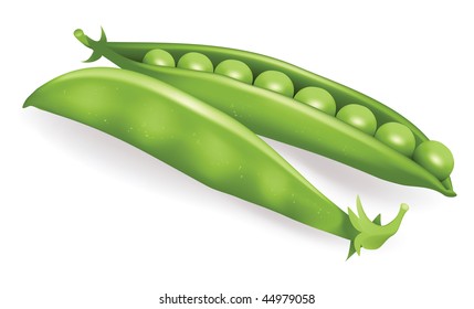 Pea Pod, mesh