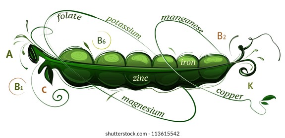 Pea Pod Vitamins Illustration. Vector EPS10 sweet peas nutrition informative illustration. Sketchy style.