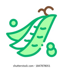pea pods icon vector. pea pods sign. color symbol illustration