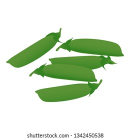 Pea pods isolated on a white background.Vector illustration.