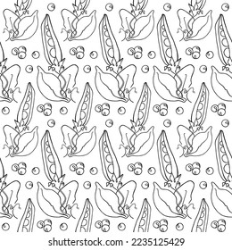 Pea pods, scattered peas. Vector seamless pattern. Natural organic ingredients, food for vegetarians and vegans menu. Design element, fabric, wrapping paper. Sketch outline, vector in flat style. 
