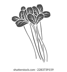 Pea shoots micro greens glyph icon vector illustration. Stamp of leafy vegetable, leaves of baby plant in bunch, healthy grass and pea sprouts for fresh vegetarian salad from agriculture garden