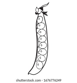 pea vector illustration graphic design, organic food, plant agricultural