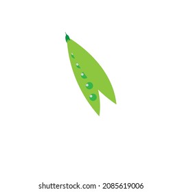 Pea vector image or flat minimalist vegetable image