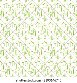 Pea vector seamless pattern. Kitchen print cage