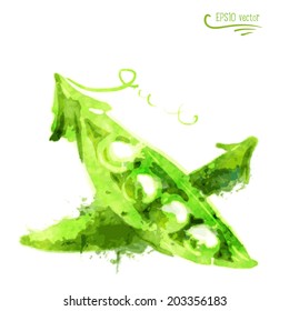 pea vector watercolor painting plant parts nature texture bean vine isolated colourful background scene natural colorful food earth leaf artistic fresh health delicious healthy liquid scenery wellness