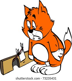 peace cat