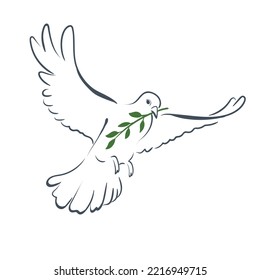 Peace dove with olive green branch