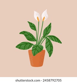 Lirios de paz creciendo en maceta de cerámica. Spathiphyllum o planta en maceta de arcilla. Planta de casa suave con flores elegantes, hojas verdes. Decoración interior floral. Ilustración vectorial plana aislada