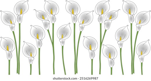 Peace lily flower vector design