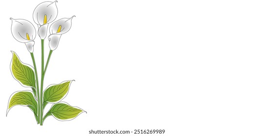 Peace lily flower vector design