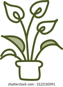 Peace lily, illustration, vector on a white background.