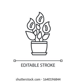 Peace lily pixel perfect linear icon. Spathiphyllum wallisii. Floweing plant. Plant with flowers. Thin line customizable illustration. Contour symbol. Vector isolated outline drawing. Editable stroke