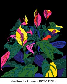 Peace lily plant illustration outline style with bright contrast neon colour, classic hand drawn style vintage vibe, cool botanical retro feeling background design